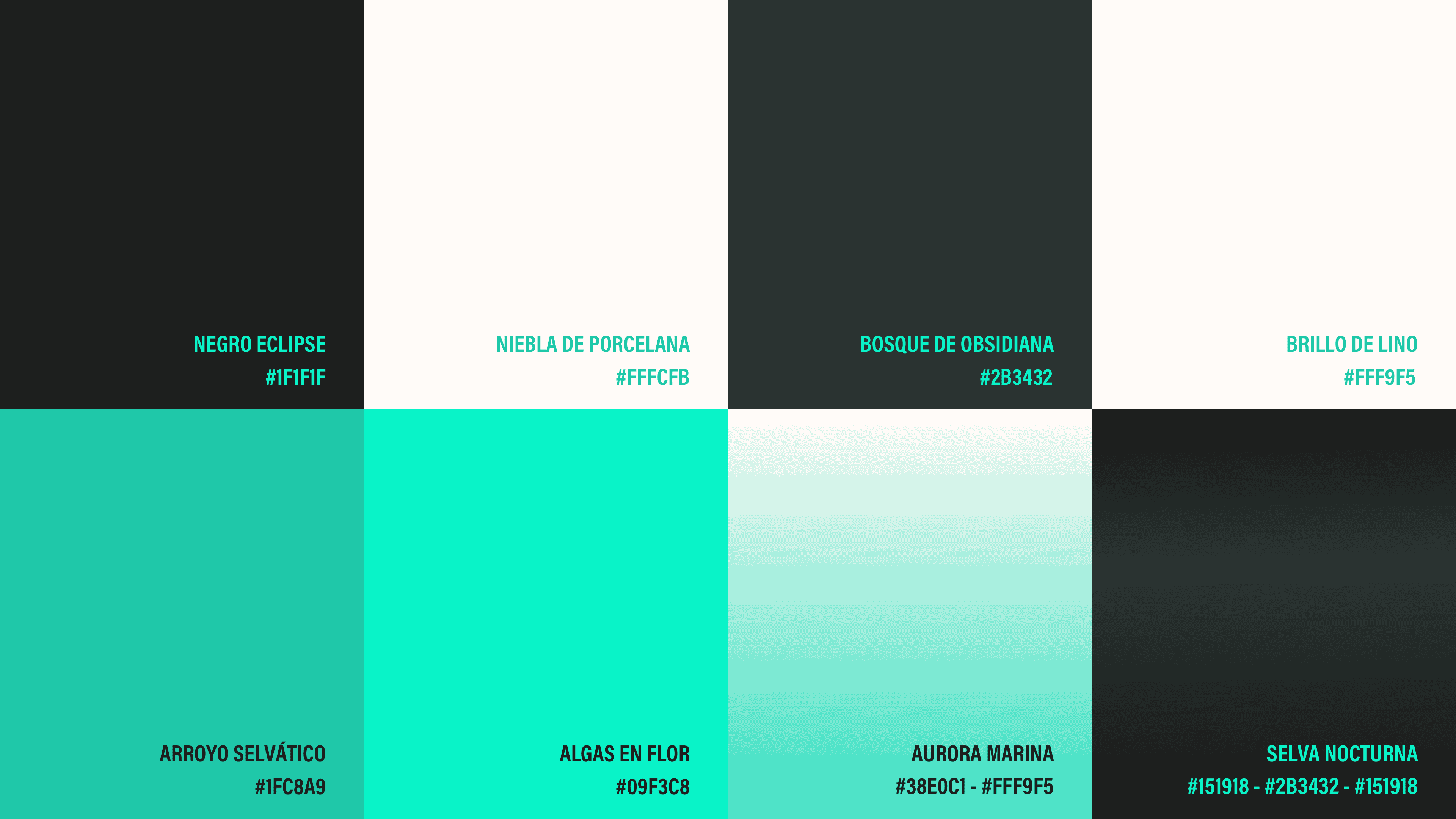 Color_Palette02_Lossy